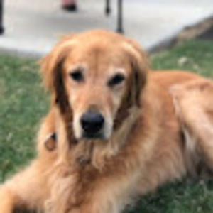 Meet your Posher, Charles